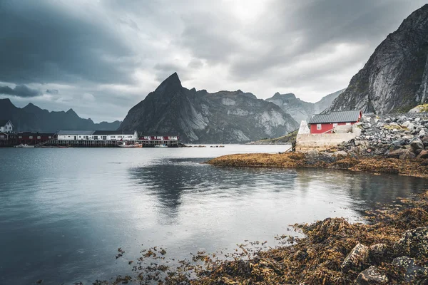 Kända turistattraktion Reine i Lofoten, Norge med röda rorbu hus, moln, regnig dag med bro och gräs och blommor. — Stockfoto