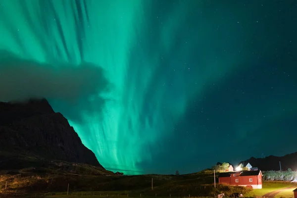 Aurora su spiaggia sabbiosa haukland, Kvalvika e Skagsanden con pietre in Norvegia, isole Lofoten. Luci settentrionali nelle isole Lofoten, Norvegia. Cielo stellato con luci polari. Paesaggio notturno con verde — Foto Stock