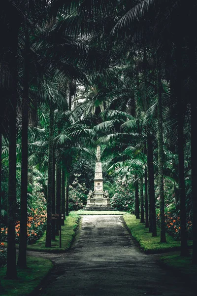 O Parque Jardim Terra Nostra na ilha de São Miguel, Furnas, Açores. Ele está localizado no meio deste magnífico sistema de água . — Fotografia de Stock