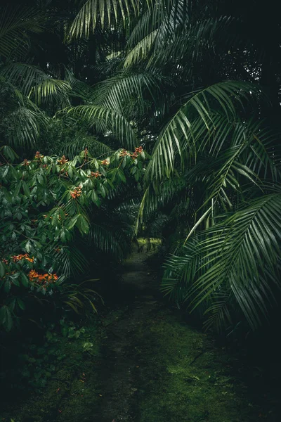 O Parque Jardim Terra Nostra na ilha de São Miguel, Furnas, Açores. Ele está localizado no meio deste magnífico sistema de água . — Fotografia de Stock