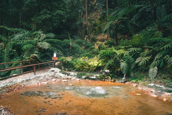 Caldeira Velha Pool with boiling water from geo thermal hot springs, Sao Miguel, Azores — Stock Photo, Image