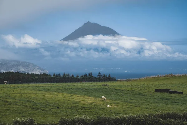 Pico Adası, Azores, Portekiz, Pico Dağı ve gün batımı sırasında bulutlar arasında şarap kültürü manzaralı. — Stok fotoğraf