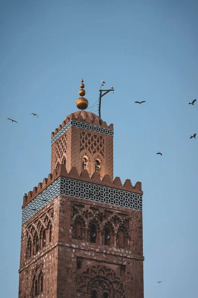 Hatalmas gólyacsorda repked a marokkói Marrakech medinájában, a Koutoubia mecset minaretjében. Naplementekor, alkonyatkor.. — Stock Fotó