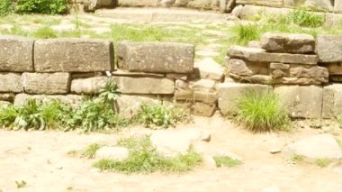 Antik Bina dolmen ağaçları, 4k arasında bir bakış. arka plan bulanıklık