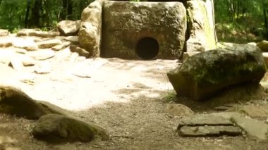 Antik Bina dolmen ağaçları, 4k arasında bir bakış. arka plan bulanıklık