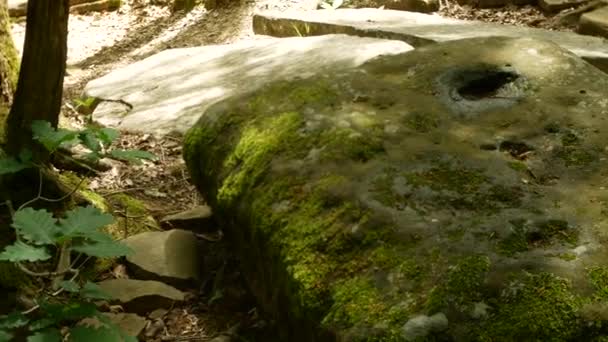 Beskåda av den antika byggnaden dolmen bland träd, 4k. bakgrundsoskärpa — Stockvideo