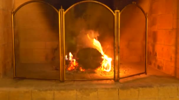 Close-up, 4k, fire and smoke in the fireplace through a protective mesh for the fireplace. — Stock Video