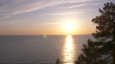 Plaj çam ağaçları altında görünümünü manzara ve mavi deniz günbatımında sakin. 4k