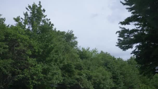Blick aus dem Autofenster auf eine bergige Landschaft, Kumuluswolken und Bäume an einem bewölkten Sommertag. 4k, Zeitlupe — Stockvideo