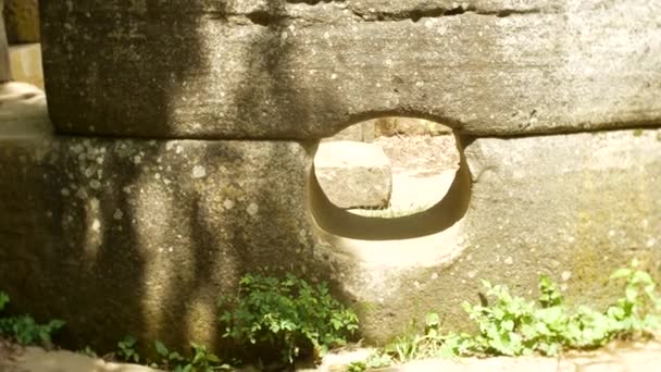 Pohled na starobylé budově dolmen mezi stromy, 4k. rozostření pozadí — Stock video