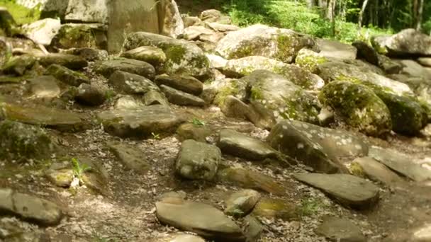 Uitzicht op de oude gebouw dolmen tussen bomen, 4k. achtergrond vervagen — Stockvideo