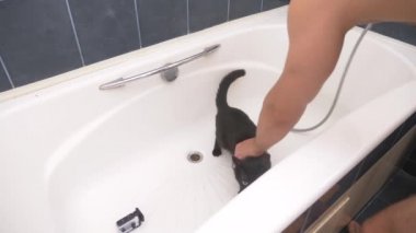 Siyah bir kedi küvet, 4 k, yavaş hareket yıkama.