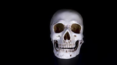 kafatası siyah bir arka plan. 4k, dolly shot, defocusing, bulanıklık.