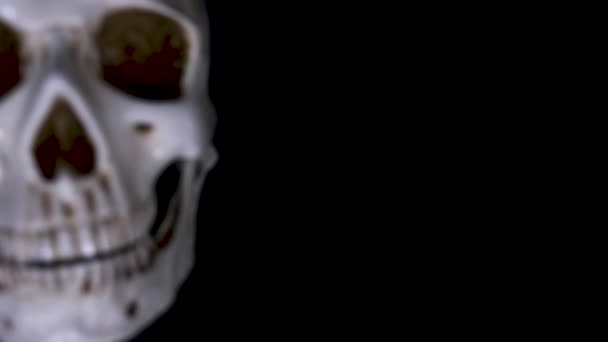 Halloween. the skull in a festive cap on a black background. 4k, dolly shot. — Stock Video