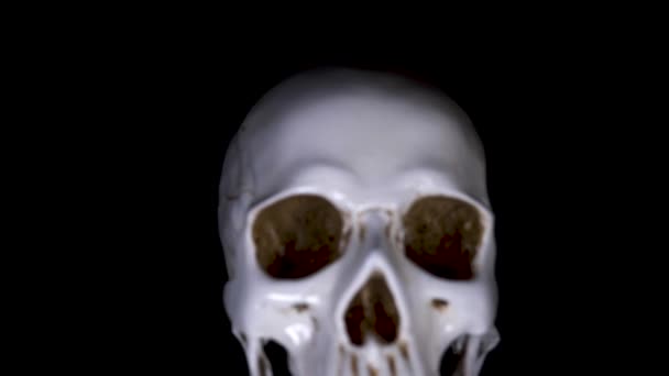 Skull on a black background. 4k, dolly shot, defocusing, blur. — Stock Video