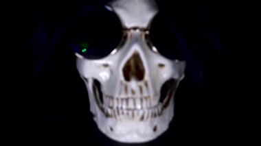 Kafatası siyah bir zemin üzerine yuvarlak güneş gözlüğü. yakın çekim. 4k, dolly shot, defocusing, bulanıklık.