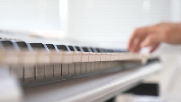 Rozdmychávaným. Hudebník hraje syntezátor. hudebník hraje na klavír. ženské ruce hrát syntezátor. 4k, pomalý pohyb — Stock video