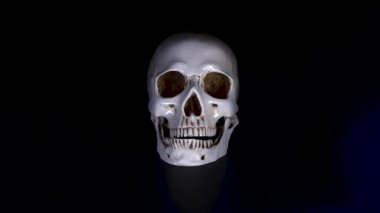 kafatası siyah bir arka plan. 4k, dolly shot, defocusing, bulanıklık.