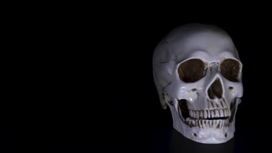 kafatası siyah bir arka plan. 4k, dolly shot, defocusing, bulanıklık.