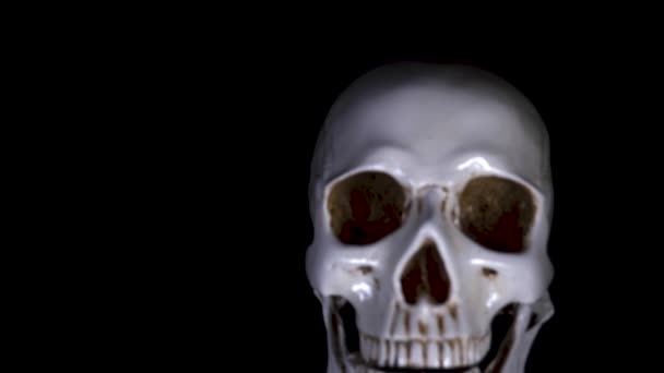 Skull on a black background. 4k, dolly shot, defocusing, blur. — Stock Video