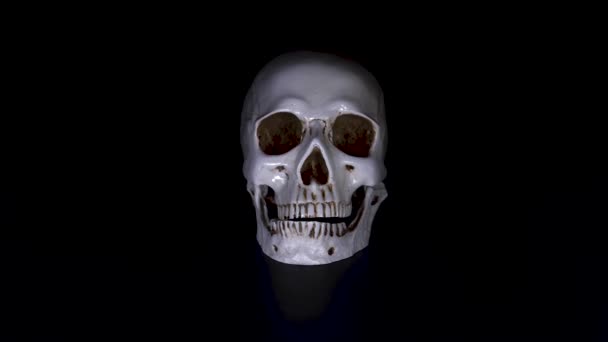 Cráneo sobre un fondo negro. 4k, dolly shot, desenfoque, desenfoque . — Vídeos de Stock