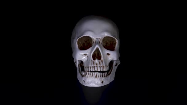 Kafatası siyah bir arka plan. 4k, dolly shot, defocusing, bulanıklık. — Stok video