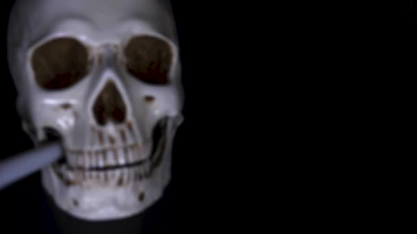 Хэллоуин. череп в праздничной кепке на черном фоне. 4k, dolly shot . — стоковое видео