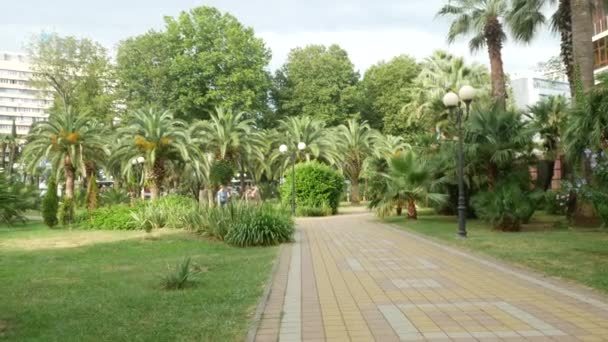 Uitzicht Het Park Met Palmbomen Het Centrum Van Stad — Stockvideo