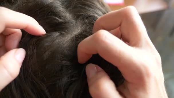 Närbild. 4k, slowmotion. kvinnliga händer, att hitta löss på huvuden med brunt hår. behandling av pediculosis. — Stockvideo