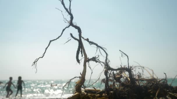 O conceito de uma campanha ambiental. close-up. um obstáculo que o mar jogou em terra durante uma tempestade. no fundo as pessoas na praia. Borrão. 4k, câmera lenta — Vídeo de Stock