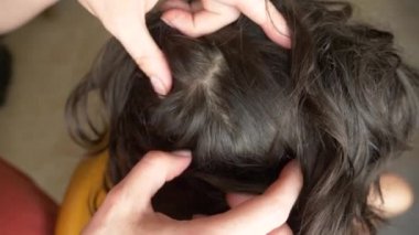 Yakın çekim. 4k, ağır çekim. Eller, üzerinde kahverengi saçlı kafa bitleri bulmak. pediculosis tedavisinde.