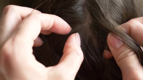 クローズ アップ。4 k、スローモーション。女性の手では、茶色の髪の頭にシラミを発見します。しらみ症の治療. — ストック動画