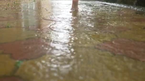 Lluvia de verano. Los pies desnudos corren a través del charco. Lluvia cálida. Gotas de lluvia. 4k, cámara lenta — Vídeos de Stock