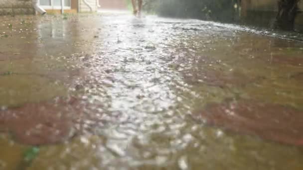 Pluie estivale. Les pieds nus courent à travers la flaque. Pluie chaude. Des gouttes de pluie. 4k, au ralenti 