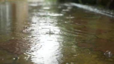 yağan yağmur damlaları kaldırıma su birikintileri düşmek. yakın çekim. Ağır çekim. 4k
