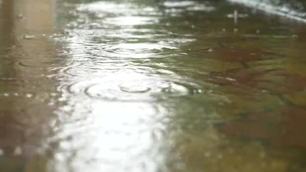 Tropfen strömenden Regens fallen in Pfützen auf dem Bürgersteig. Nahaufnahme. Zeitlupe. 4k — Stockvideo