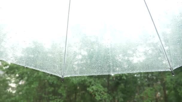 Silueta de gotas de lluvia sobre un paraguas transparente, vista desde debajo del paraguas sobre árboles verdes bajo la lluvia. 4k, cámara lenta — Vídeo de stock