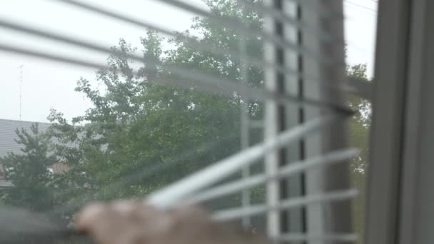 Vista da rua durante a chuva através das cortinas na janela. 4k, câmera lenta . — Vídeo de Stock