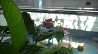 Genç için su kaydırağı. Aquapark. 4k, ağır çekim. Bulanıklaştırma