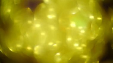 Arka plan - canlı renkler, bulanıklık, altın parlama defocused. mor arka plan. 4 k. kopya alanı,