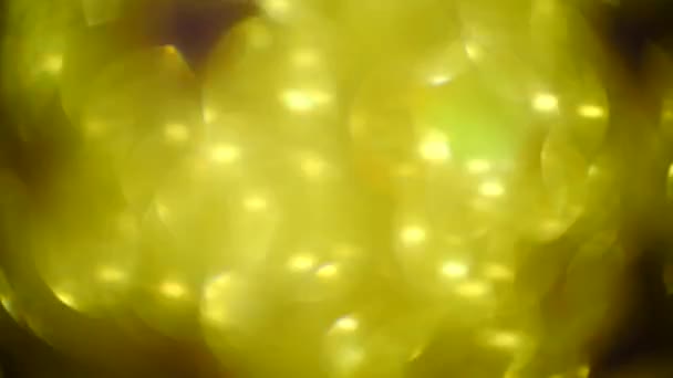 Oskärpa abstrakt bakgrund - levande färger, oskärpa, gyllene bländning. lila bakgrund. 4 k. kopia utrymme, — Stockvideo