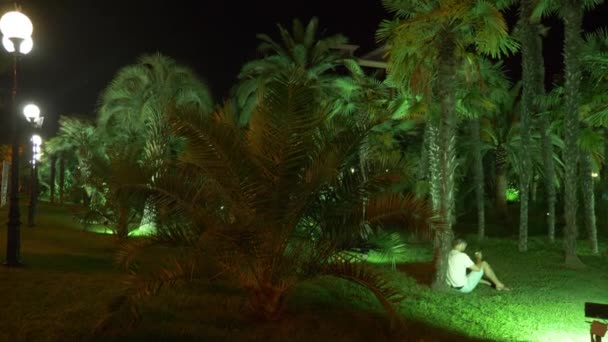 Hombre sentado por la noche en el jardín tropical, bajo una palmera. 4k. oscuro — Vídeo de stock
