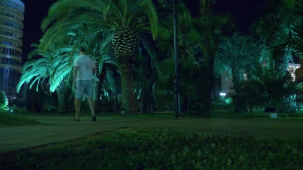 Parco tropicale notturno con palme nella località turistica con illuminazione notturna. 4k . — Video Stock