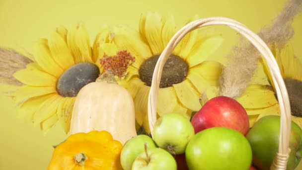 Красочный натюрморт на цветном фоне. Тыква, тыква, яблоки. Осенний урожай. 4k . — стоковое видео