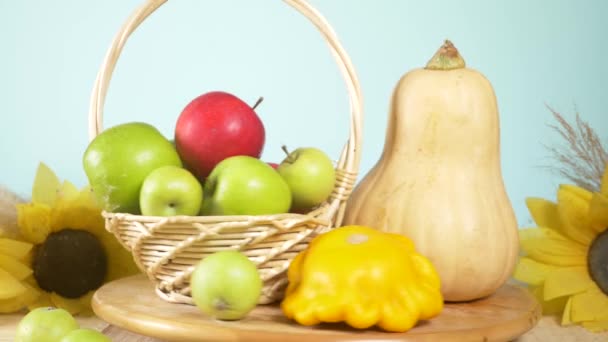 Barevné zátiší na barevném pozadí. Dýně, jablka, squash. Podzimní sklizeň. 4k. — Stock video