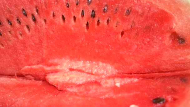 Konsistens av färsk mogen vattenmelon. Makro nära upp, ovanifrån 4k — Stockvideo