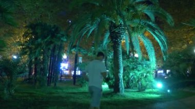 gece gece aydınlatma tatil beldesi palmiye ağaçları ile tropikal park. 4k.