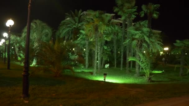 Нічний тропічний парк з пальмами в курортному місті з нічним освітленням. 4k . — стокове відео