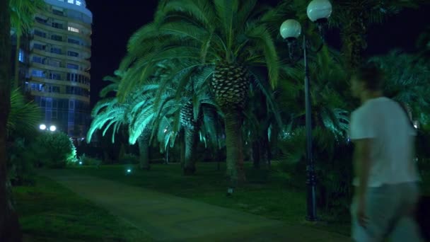 Éjszakai trópusi park a város éjszakai világítással pálmafák. 4k. — Stock videók
