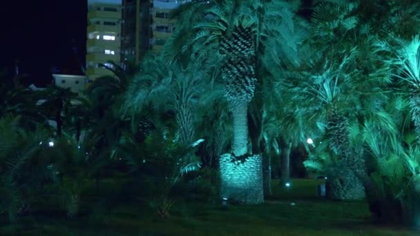 Parc tropical nocturne avec palmiers dans la ville de villégiature avec éclairage nocturne. 4k . — Video